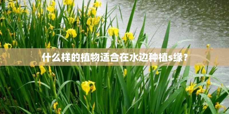 什么样的植物适合在水边种植s缘？