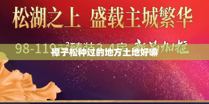 樟子松种过的地方土地好嘛