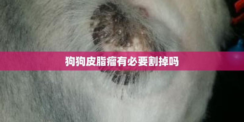 狗狗皮脂瘤有必要割掉吗