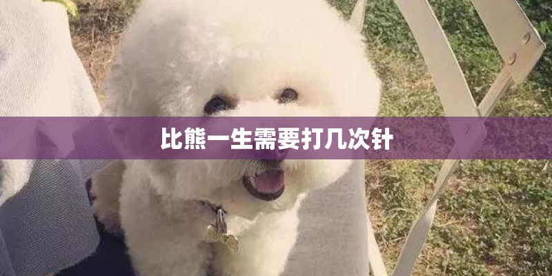 比熊一生需要打几次针