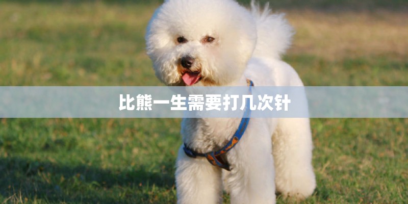 比熊一生需要打几次针