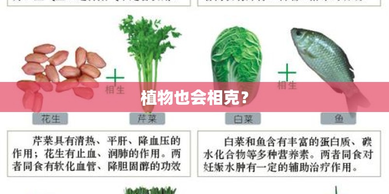 植物也会相克？