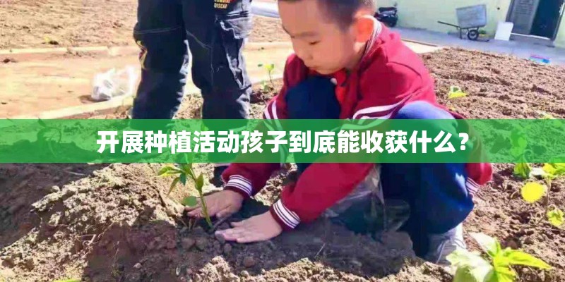 开展种植活动孩子到底能收获什么？