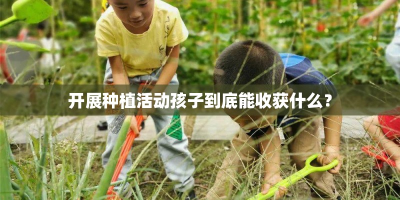 开展种植活动孩子到底能收获什么？