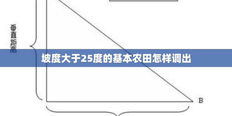 坡度大于25度的基本农田怎样调出