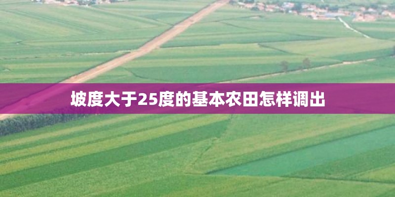 坡度大于25度的基本农田怎样调出