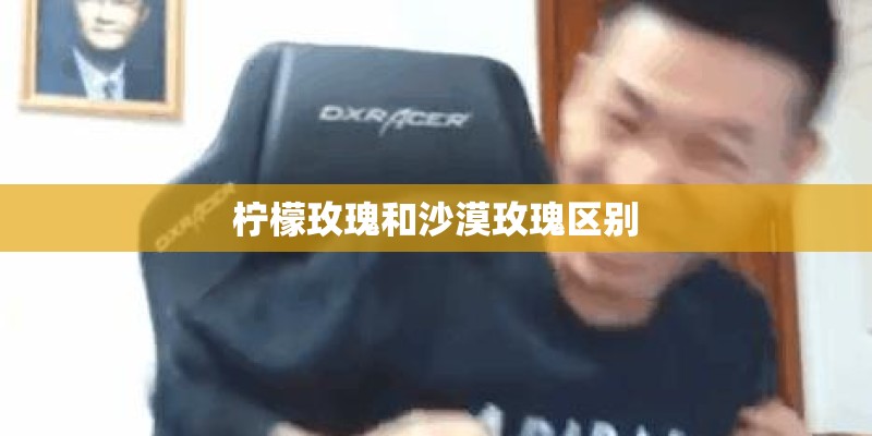 柠檬玫瑰和沙漠玫瑰区别 柠檬玫瑰和沙漠玫瑰区别