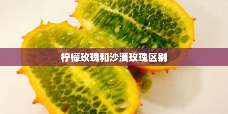 柠檬玫瑰和沙漠玫瑰区别