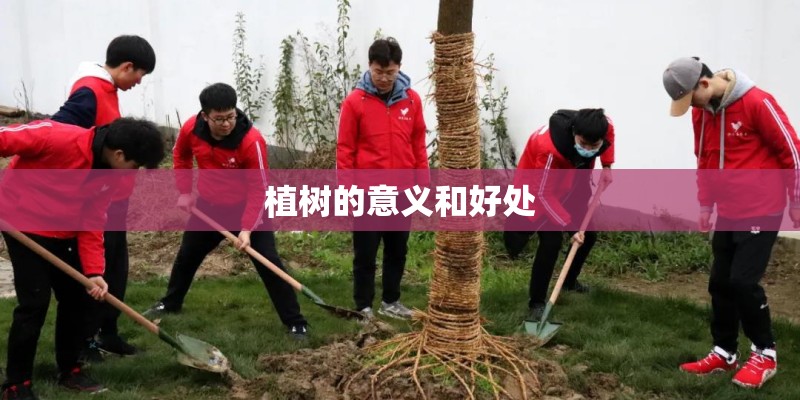 植树的意义和好处