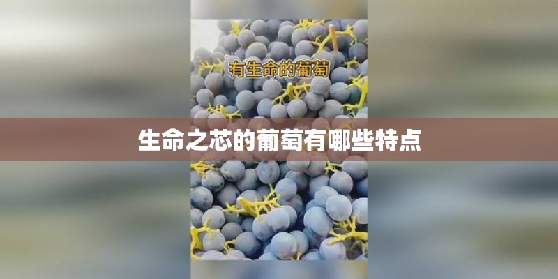 生命之芯的葡萄有哪些特点