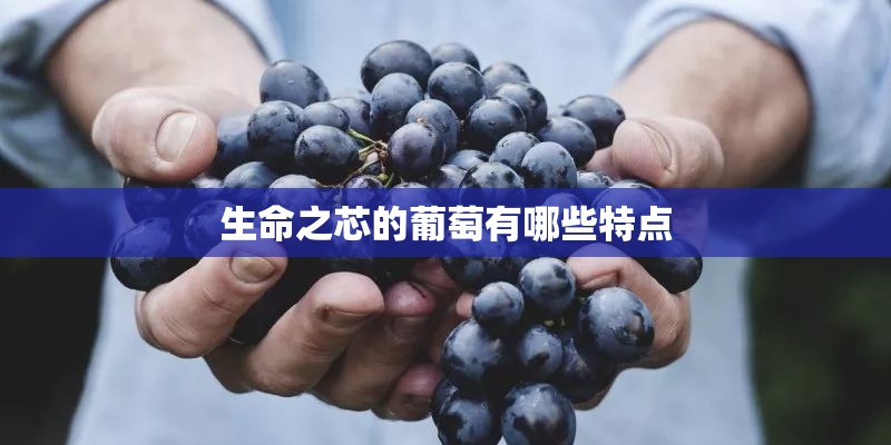 生命之芯的葡萄有哪些特点