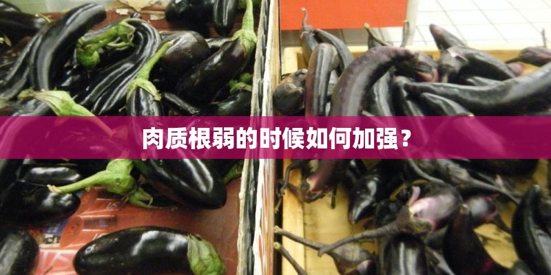 肉质根弱的时候如何加强? 肉质根弱的时候如何加强?
