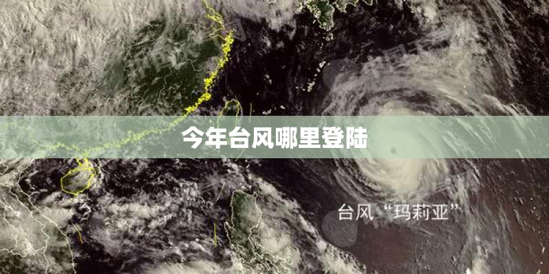 今年台风哪里登陆