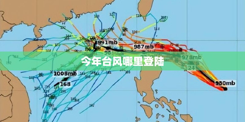 今年台风哪里登陆