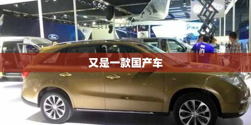 又是一款国产车
