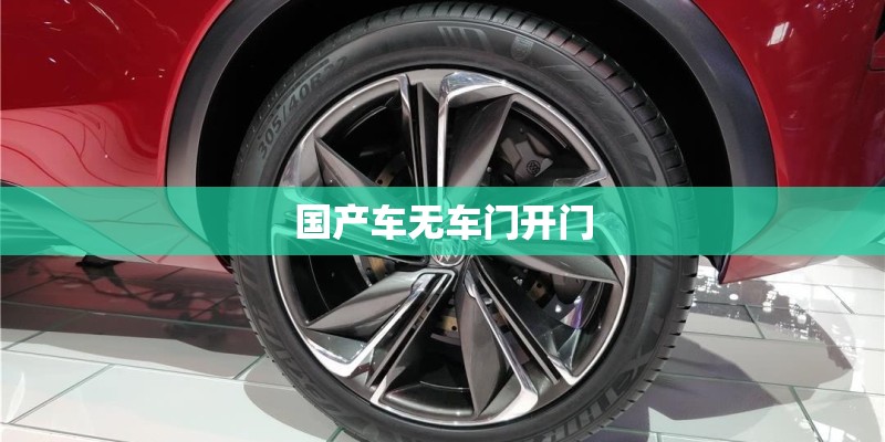国产车无车门开门