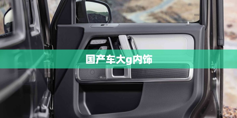国产车大g内饰