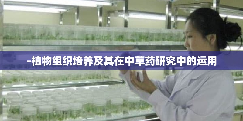 -植物组织培养及其在中草药研究中的运用