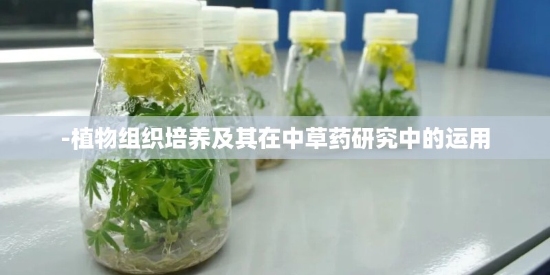 -植物组织培养及其在中草药研究中的运用