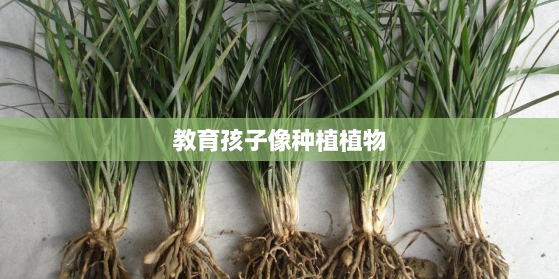 教育孩子像种植植物