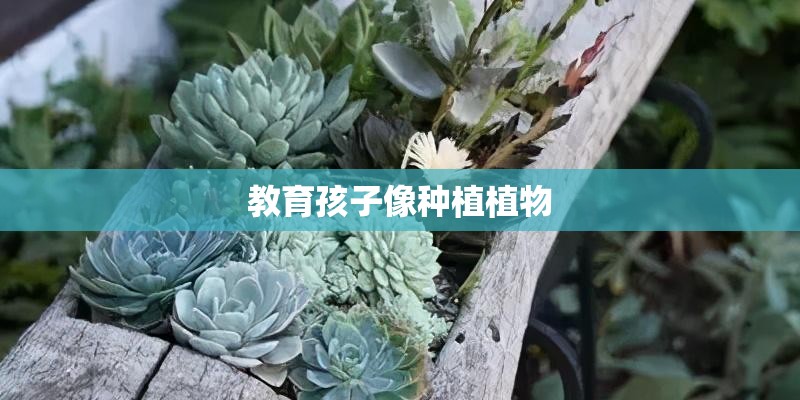 教育孩子像种植植物