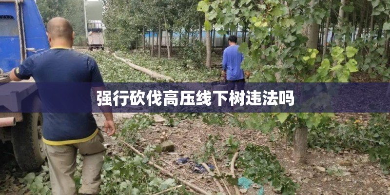 强行砍伐高压线下树违法吗