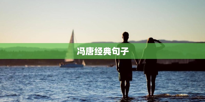 冯唐经典句子