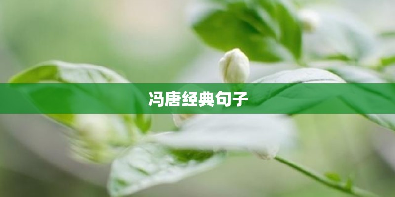 冯唐经典句子