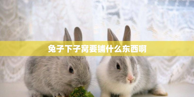 兔子下子窝要铺什么东西啊