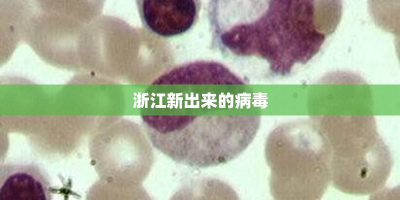 浙江新出来的病毒