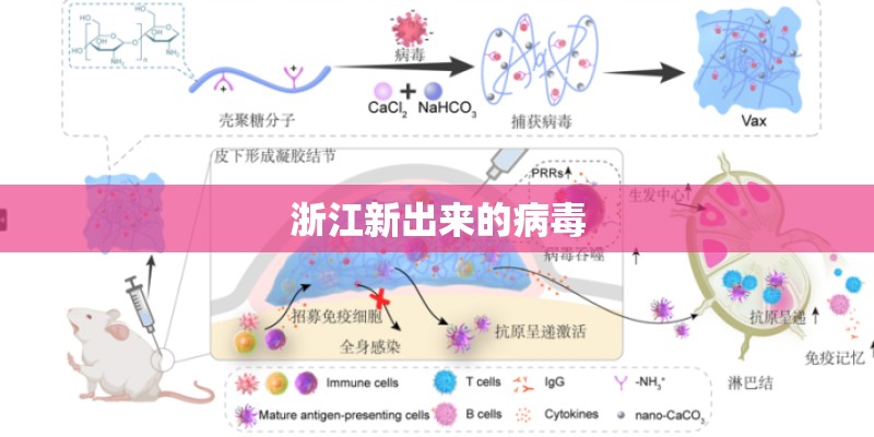 浙江新出来的病毒