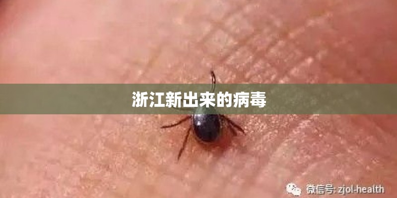 浙江新出来的病毒