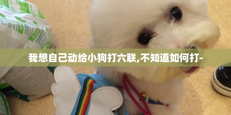 我想自己动给小狗打六联,不知道如何打-