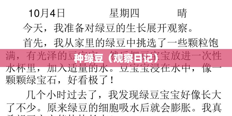 种绿豆（观察日记）