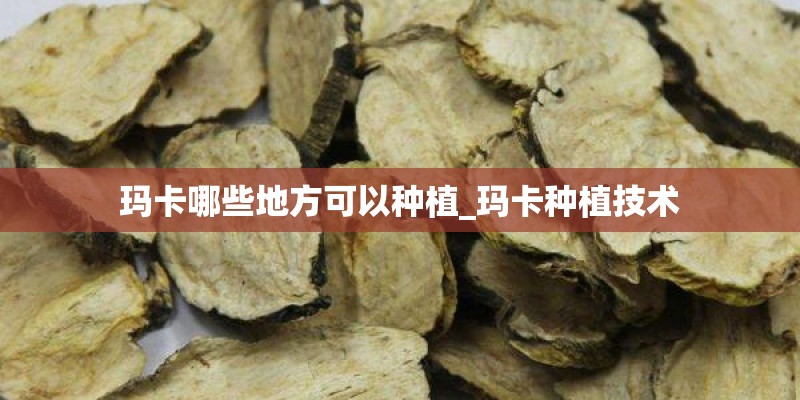 玛卡哪些地方可以种植_玛卡种植技术