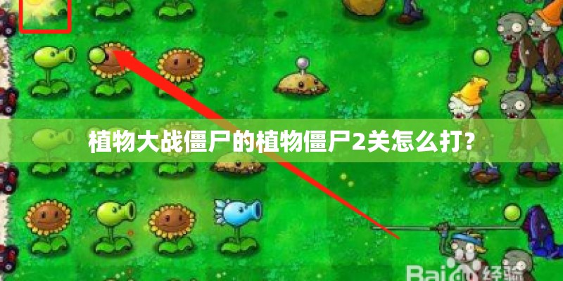 核桃苗的种植技术