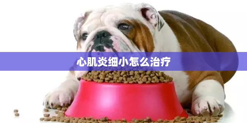 心肌炎细小怎么治疗