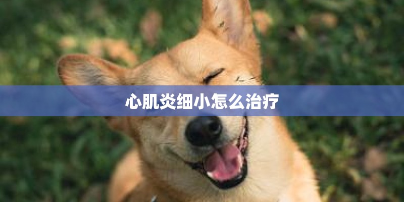 心肌炎细小怎么治疗