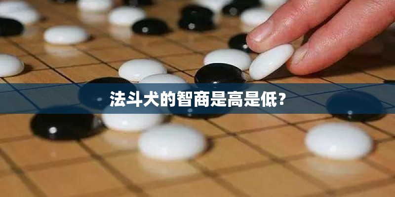 法斗犬的智商是高是低？