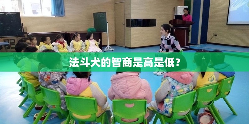 法斗犬的智商是高是低？