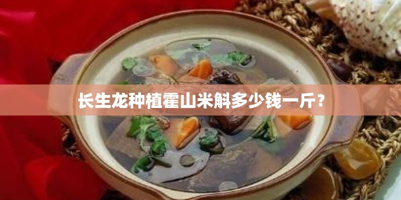 长生龙种植霍山米斛多少钱一斤？
