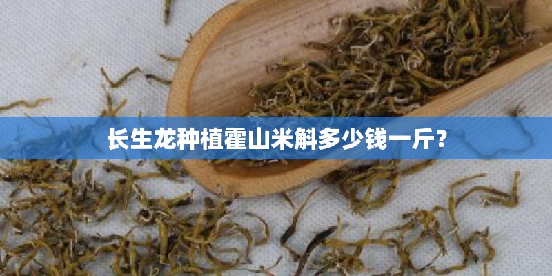 长生龙种植霍山米斛多少钱一斤？