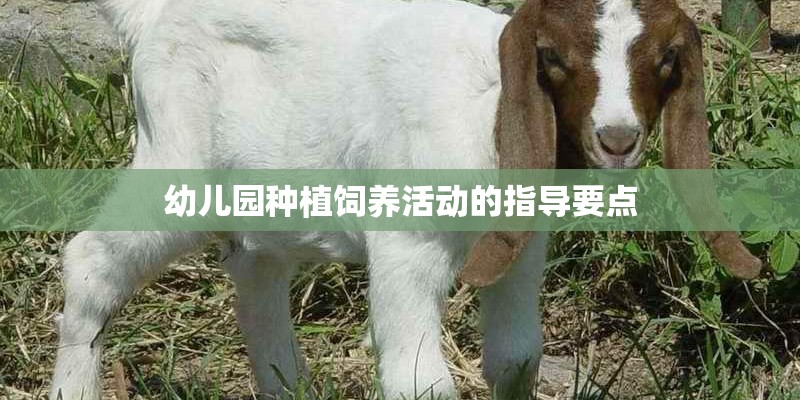 幼儿园种植饲养活动的指导要点