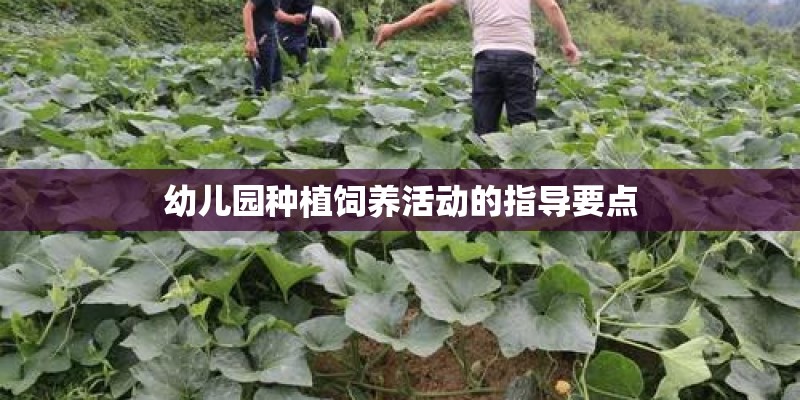 幼儿园种植饲养活动的指导要点