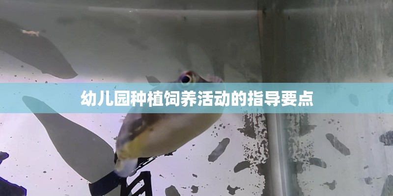 幼儿园种植饲养活动的指导要点
