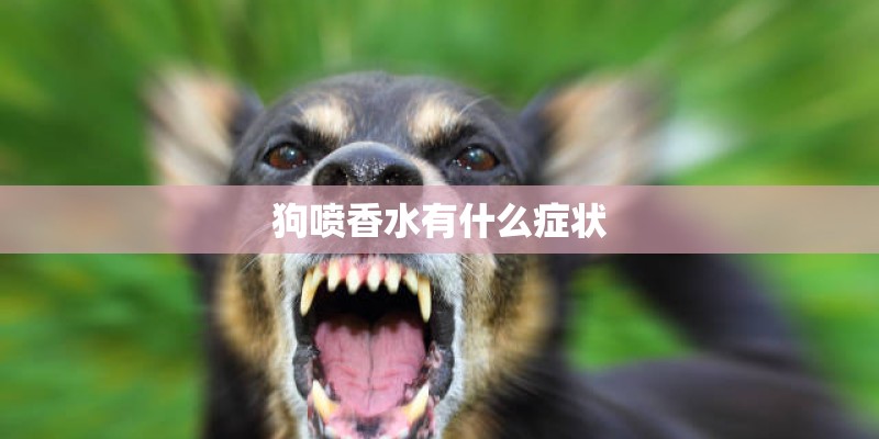 狗喷香水有什么症状