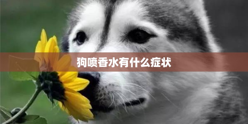 狗喷香水有什么症状
