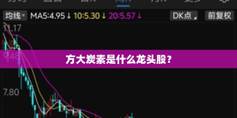 方大炭素是什么龙头股？