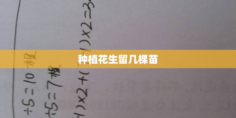 种植花生留几棵苗