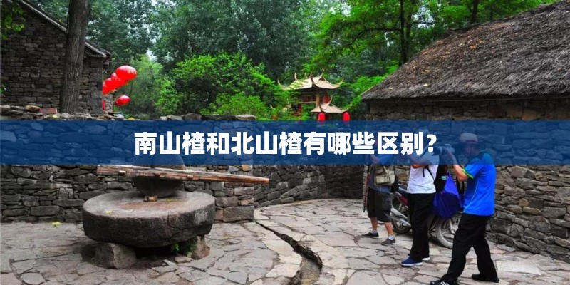 南山楂和北山楂有哪些区别？